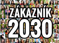 web-banner-z2030